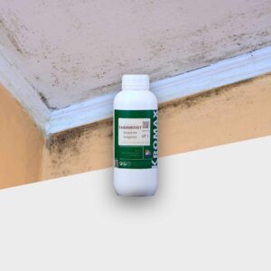 Thermovet soluzione fungicida lt 1